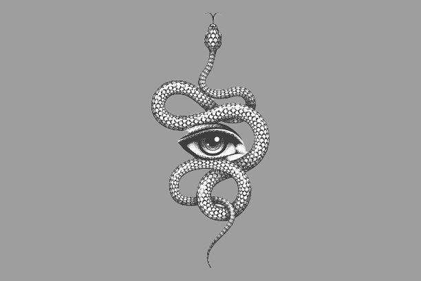 Snakes have long been revered symbols of renewal and transformation in spiritual traditions worldwide. When shed, their skin sheds to reveal new life beneath, while their coiling shape symbolizes renewal and growth. 