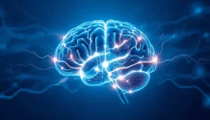 Atonic seizure brain electrical pathways diagram