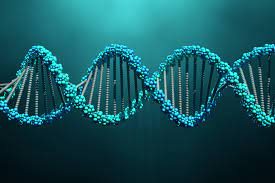 How Genetics Influence Mental Health: A Deep Dive