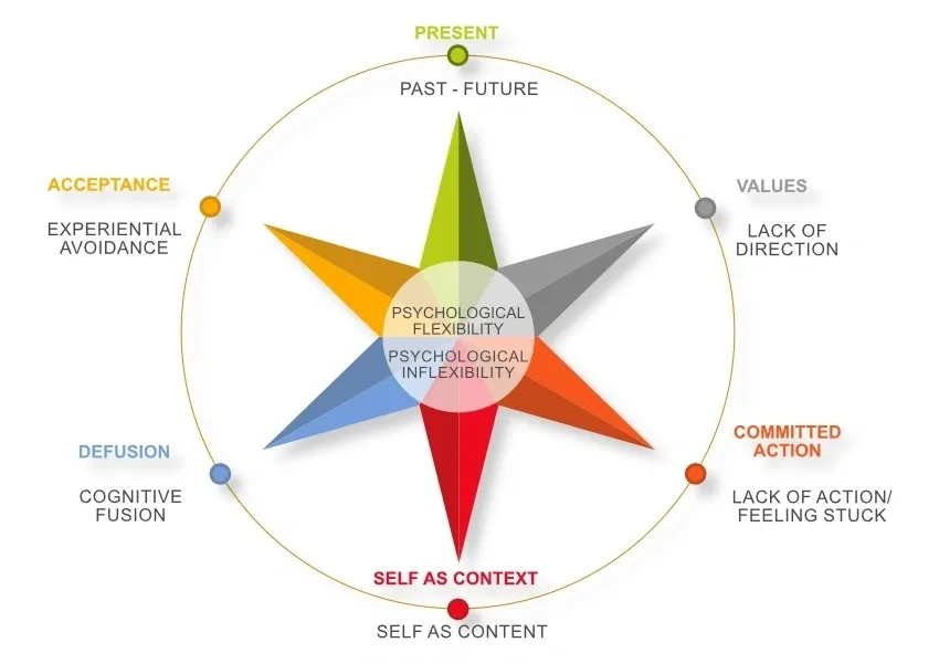 What Is Acceptance and Commitment Therapy (ACT)? Explained