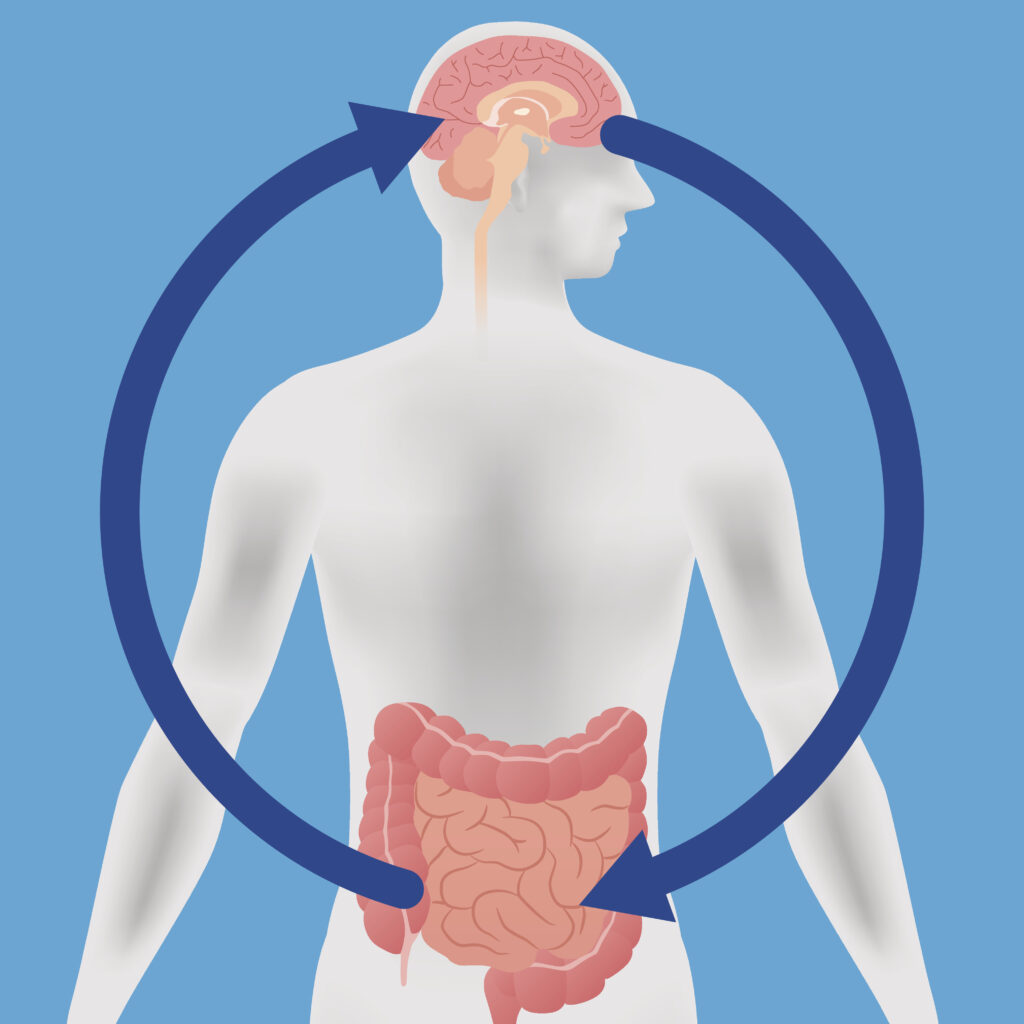 The Gut-Brain Axis: How Your Stomach Shapes Your Mind