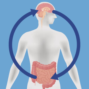 The Gut-Brain Axis: How Your Stomach Shapes Your Mind