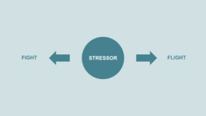 The Fight or Flight Response: Your Body’s Stress Reaction