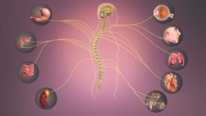 Nervous System Overload Symptoms: Signs, And Causes