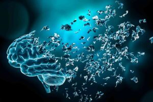 How Stress Impacts Cognitive Function: Brain, Memory & Focus