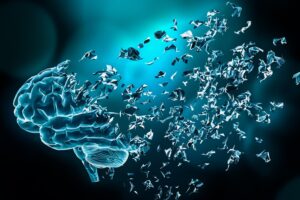 How Stress Impacts Cognitive Function: Brain, Memory & Focus