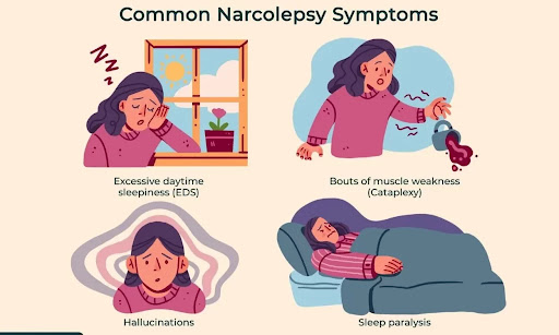 Narcolepsy: Symptoms, Causes & Treatment Guide