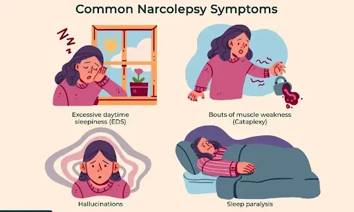 Narcolepsy: Symptoms, Causes & Treatment Guide
