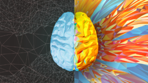 The Polyvagal Theory Explanation: Why the Body Chooses Freeze