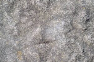 Grey Rock Method for Narcissist: A Complete Guide